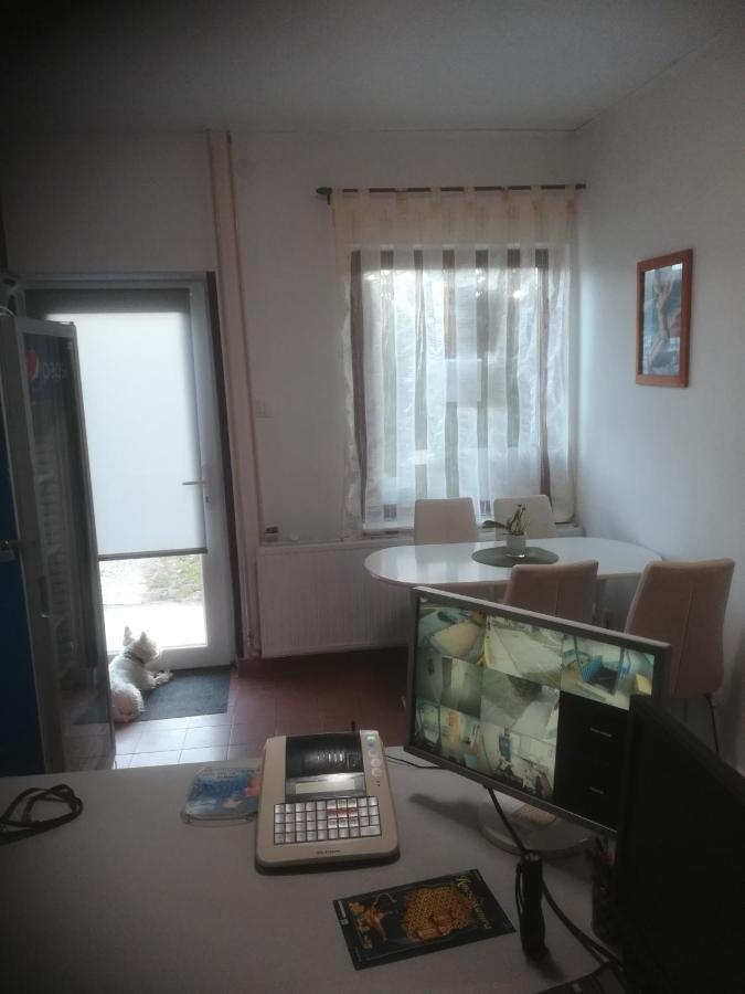 Fekete Macska Panzio Hotel Tata Exterior photo